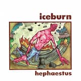 Flyswatter - Swatting