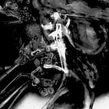 Orgy of the Dead performance - 10m27d2007y