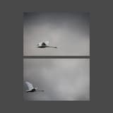 | | | | | | | | | | | | | | | 24 fps