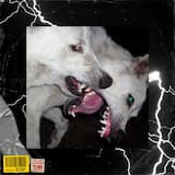 The Miracle of Being Human (Rachael's Child)