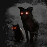 Hunde müssen zittern