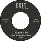 I Just Wanna Make Love