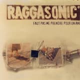 Faut pas me prendre pour un âne