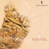 Dreaming A Batterfly