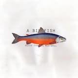 Contemplating the Moon