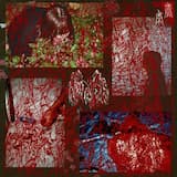 世界 (あなたが手に入れたもの、花束、あなたからもらうはずのもの)