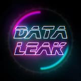 Data Leak