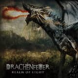 Nightfall At the Edge of the Forest