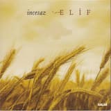 Bir İncecik Duman Tüter Bacadan