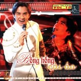 Đêm thành phố đầy sao