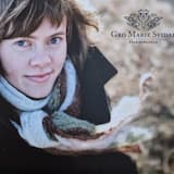 Springar etter Johannes Holsen