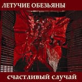 Счастливый случай