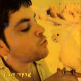 אוהבת לא אוהבת