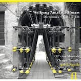 Divertimento in D major, K. 334: I. Allegro