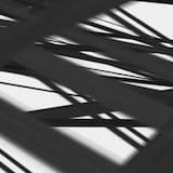 â€™TRemembranceâ€™