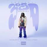 SINBAD (RAG$ TO RiCHE$)