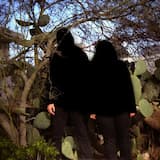 Changes in the Darkness