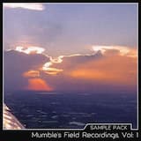 After a thunderstorm 1