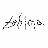 Hips Don't Lie (tshima remix)