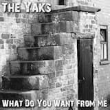 What Do You Want From Me