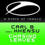 Chasing Leaves (original mix)