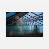 Sunflower (instrumental)