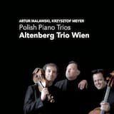 Piano Trio in C-sharp minor: I. Lento - Allegro moderato