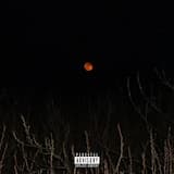 Raining All the Time