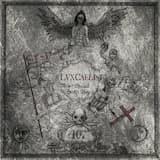 Beyond the Falling Stars