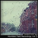 Birds and distant traffic