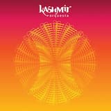 Hoy tiré viejas hojas