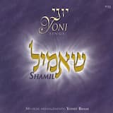 Nigun Simcha