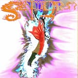 Lubricated Dead Baby Maze in Dreamland