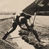 Canoe Reaching Shore Close To Faint