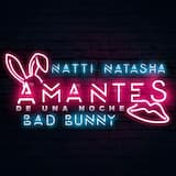 Amantes de una noche