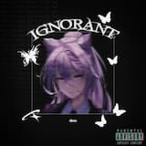 IGNORANT!
