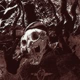 Remnant Blue (Acoustic)