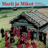 Friijaripoikaan polokka