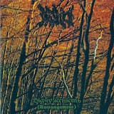 Самітня нескінченна тропа