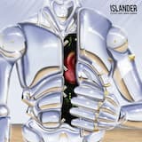 Lights, Camera, Action