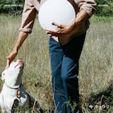 Sour Cherry, Dandelion