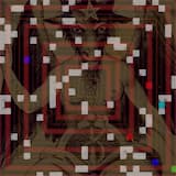 Glimpses of Something Rare