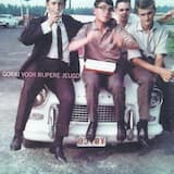 Ik kan nooit meer naar huis