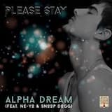 Please Stay (Bigbeat Deepmix edit)