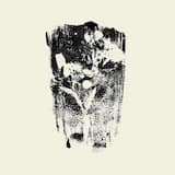 Silkworms & Crambe Maritima