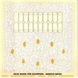 The Paradoxes of Love