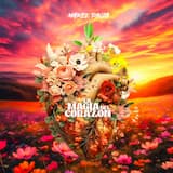 La magia del corazón