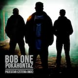 Przestań (Zetena Zetena remix)