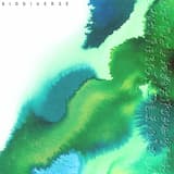 Travelers of the Past