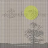 Dum Dum Is the Queen